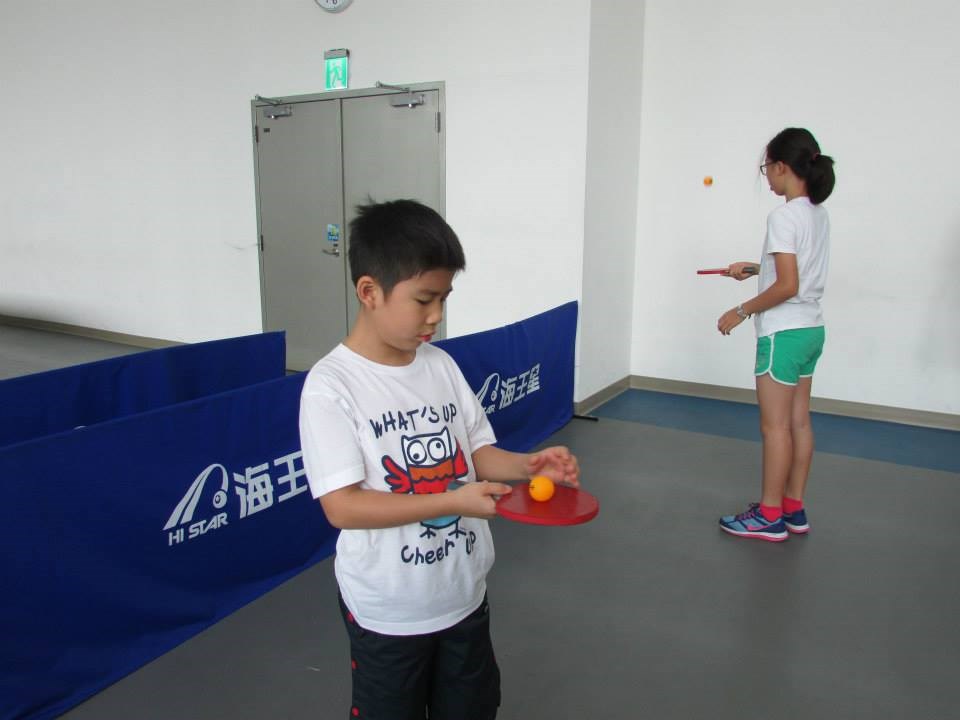 HI STAR海王星防刮型防水16mm桌球桌HS-737