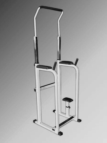 TIGERMAX單雙槓健身架TM--3006(台灣製造)