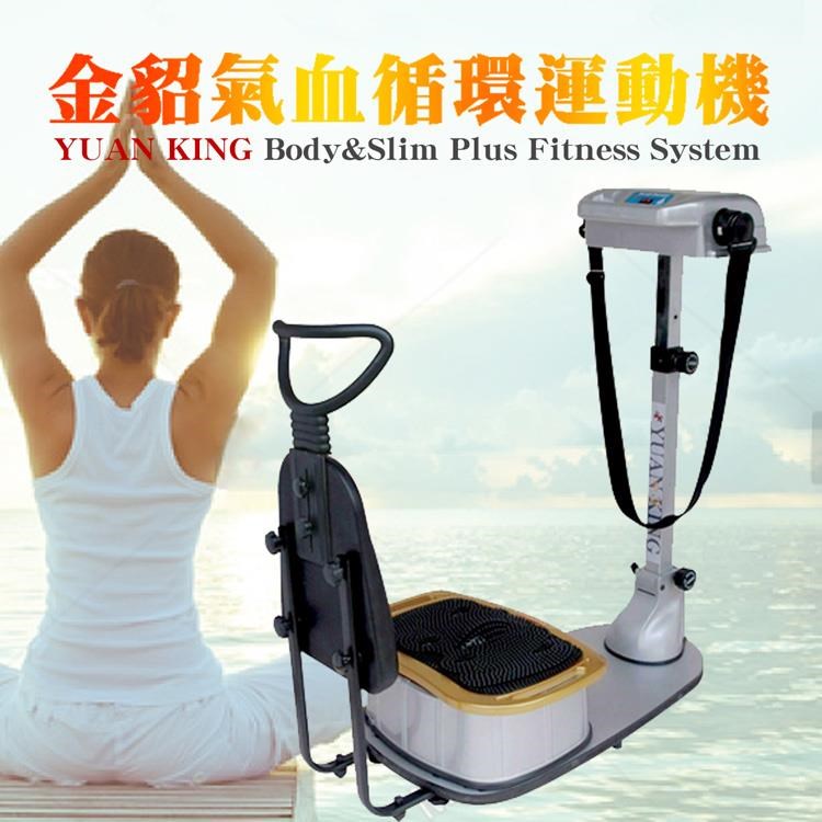 銀貂 美體運動機 YK978 多功能二合一【馬力升級】金貂運動機