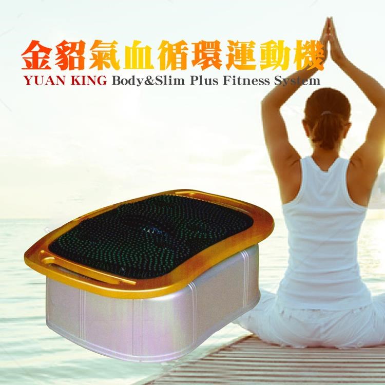 銀貂 金貂美體運動機 YK2168 