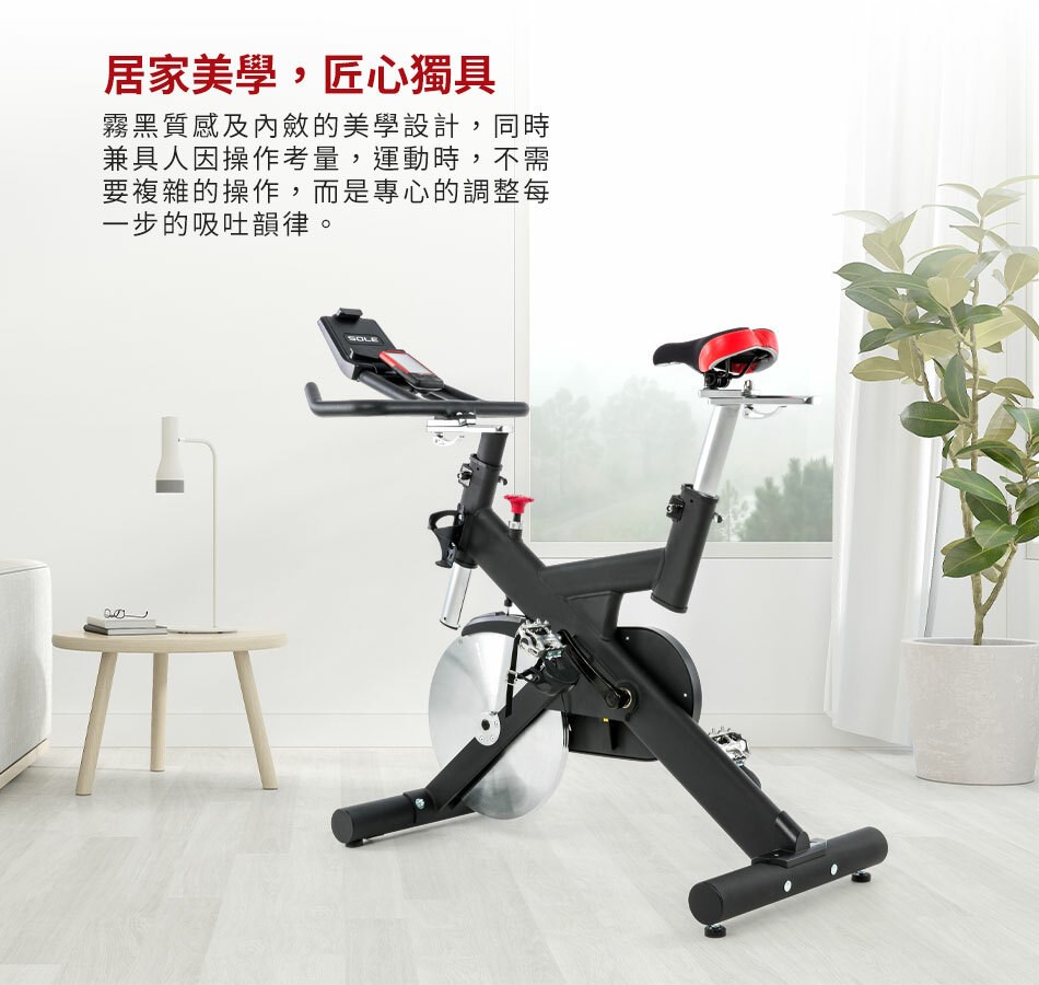 SOLE 飛輪健身車 SB700 (羊毛氈阻力平板架)