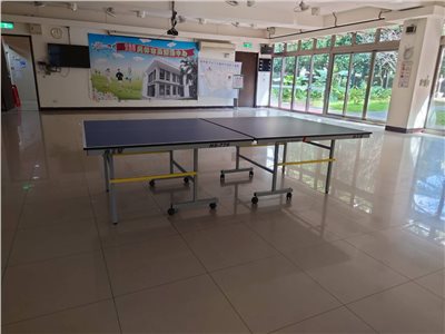 HI STAR海王星防刮型防水22mm桌球桌HS-778